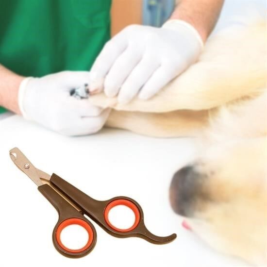 KanguruMarkt® Küçük Çelik Uçlu Kedi Köpek Evcil Hayvan Tırnak Makası Pati Bakım Aleti Ergonomik Kaymaz Sap