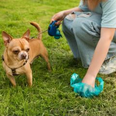 KanguruMarkt® 10 Adet Evcil Hayvan Kullan At Kaka Poşeti