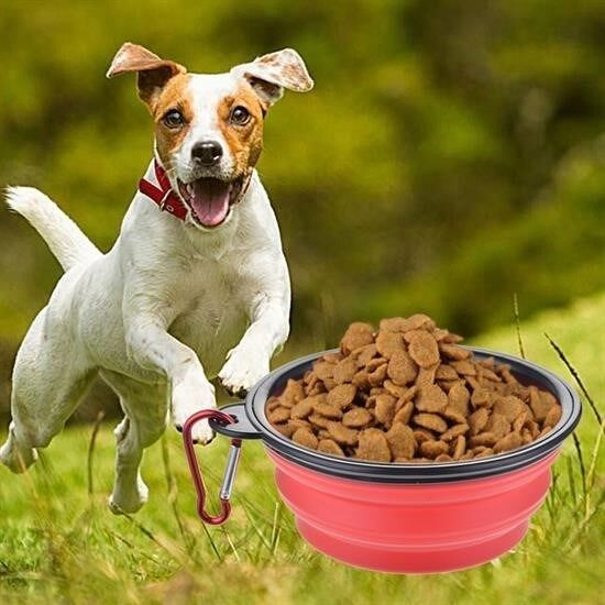 Katlanabilir Kedi Köpek Mama ve Su Kabı