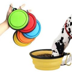 Katlanabilir Kedi Köpek Mama ve Su Kabı