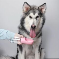 Kilitlenebilen Evcil Hayvan Suluğu