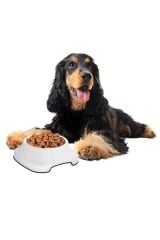 KanguruMarkt® Silikon Kaydırmaz Taban Plastik Kedi ve Köpek Mama ve Su Kabı 2 L