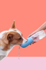 KanguruMarkt® 450 ml Taşınabilir Butonlu Evcil Hayvan Suluğu