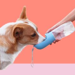 KanguruMarkt® 450 ml Taşınabilir Butonlu Evcil Hayvan Suluğu