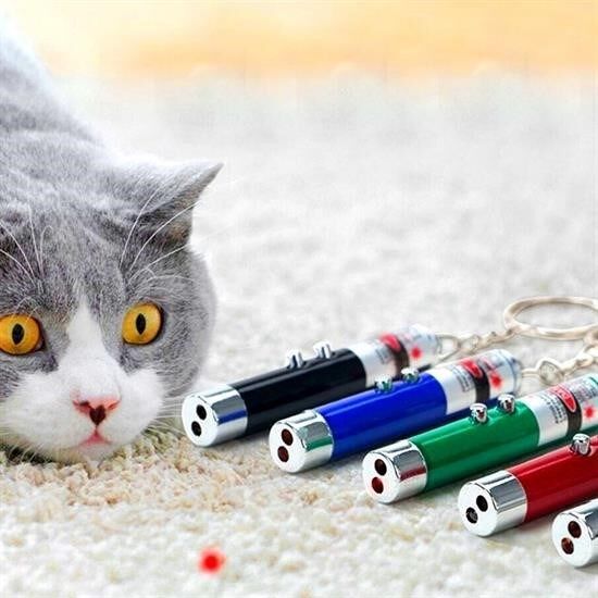KanguruMarkt®  3 Fonksiyonlu Kırmızı Beyaz Işıklı Led Lazer Kedi Köpek Oyuncak Anahtarlık