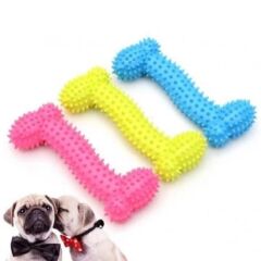 KanguruMarkt® Tiny Kemik Oyuncağı Tırtıklı Yüzey Küçük Kemik Plastik Köpek Oyuncağı