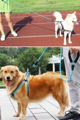 KanguruMarkt® Reflektörlü Fosforlu Köpek Gezdirme Halatı Tasma Kayışı Metal Kancalı 130 cm