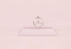 Dekoratif Masa Üstü Obje Manyetik Kinetik Orbital Dönen Yunuslar