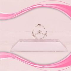 Dekoratif Masa Üstü Obje Manyetik Kinetik Orbital Dönen Yunuslar