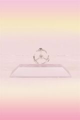 Dekoratif Masa Üstü Obje Manyetik Kinetik Orbital Dönen Yunuslar