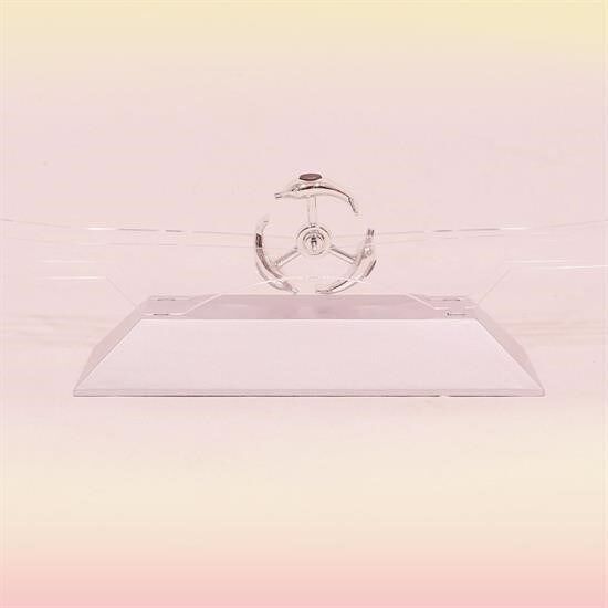 KanguruMarkt® Dekoratif Masa Üstü Obje Manyetik Kinetik Orbital Dönen Yunuslar