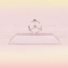 KanguruMarkt® Dekoratif Masa Üstü Obje Manyetik Kinetik Orbital Dönen Yunuslar