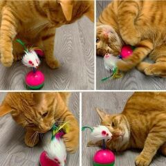 KanguruMarkt® Kedi Oyun Topu Tüylü Fareli Hacı Yatmaz Eğitici Yavru Kedi Fare Kovalama Oyuncağı