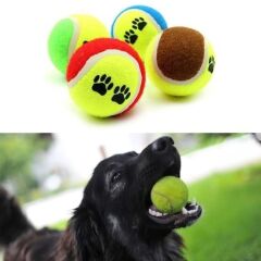 KanguruMarkt®  3lü Renkli Desenli Tenis Topu Kedi Köpek Oyuncağı