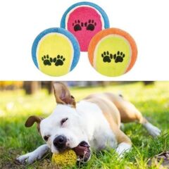 KanguruMarkt®  3lü Renkli Desenli Tenis Topu Kedi Köpek Oyuncağı