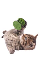 KanguruMarkt®  Mini Silindir Eğlenceli Renkli Sağlam Küçük Pati İzi Şekilli Kedi Oyuncağı