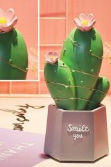 KanguruMarkt® Led Işıklı Kaktüs Biblo Ev Dekorasyon ve Hediyelik Eşya Led Aydınlatma