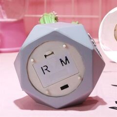 KanguruMarkt® Led Işıklı Kaktüs Biblo Ev Dekorasyon ve Hediyelik Eşya Led Aydınlatma