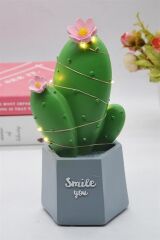 KanguruMarkt® Led Işıklı Kaktüs Biblo Ev Dekorasyon ve Hediyelik Eşya Led Aydınlatma
