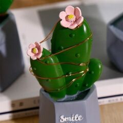 KanguruMarkt® Led Işıklı Kaktüs Biblo Ev Dekorasyon ve Hediyelik Eşya Led Aydınlatma