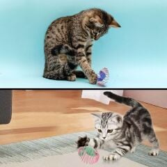 KanguruMarkt® Yaylı Metal Fareli Kafes Kedi Oyun Topu Sıçrayan Spiral Kedi Topu