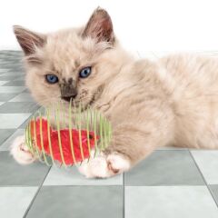 KanguruMarkt® Yaylı Metal Fareli Kafes Kedi Oyun Topu Sıçrayan Spiral Kedi Topu