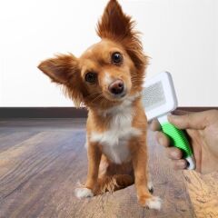 Telli Küçük Boy Tüy Bakım Seti