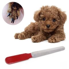 KanguruMarkt® Evcil Hayvan Tırnak Makası Ve Törpü Seti Manikür Pedikür Pati Bakım Aleti Kaymaz Sap