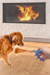 KanguruMarkt® Evcil Hayvan Kedi ve Köpek Paslanmaz Çelik Yaylı Tırnak Makası ve Düzeltme