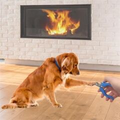 KanguruMarkt® Evcil Hayvan Kedi ve Köpek Paslanmaz Çelik Yaylı Tırnak Makası ve Düzeltme