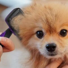 KanguruMarkt®  Otomatik Temizlenebilen Tuşlu Pratik Kedi Köpek Tüy Toplama Fırçası