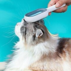 KanguruMarkt® Evcil Hayvanlar İçin Çift Taraflı Pet Fırçası Nemli Tüy Tarama Tarağı