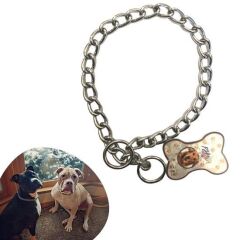 65 cm Zincir Model Köpek İçin Boyun Tasması