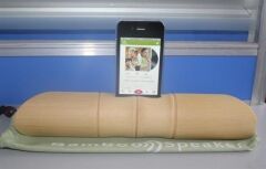 6x1 cm Girişli Kılıflı Bambu Ağacı Akustik Ses Yükseltici Aparat