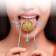 KanguruMarkt® Dil Temizleme Dil Sıyırıcı Ve Temizleme Aparatı