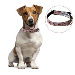 KanguruMarkt® Yumuşak Dokulu Deri Köpek Gezdirme Boyun Tasması Medium