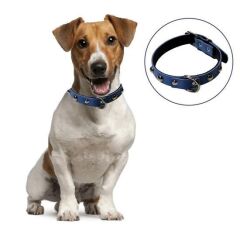 KanguruMarkt® Yumuşak Dokulu Deri Köpek Gezdirme Boyun Tasması (Large)