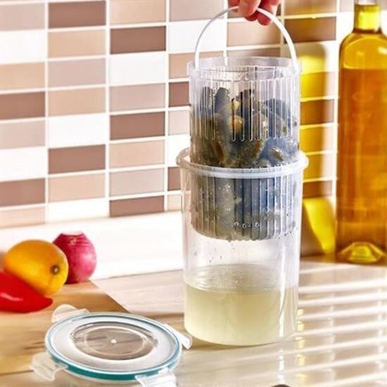 KanguruMarkt® Zeytin Turşu Sebze Yıkama Kutusu Klipsli Kapaklı Saklama Kabı