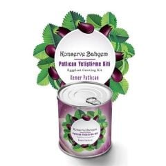KanguruMarkt® Konserve Bahçem Evde Konservede  Kemer PatlıcanYetiştirme Kiti