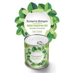 KanguruMarkt® Konserve Bahçem Evde Konservede Sakız Kabak Yetiştirme Kiti