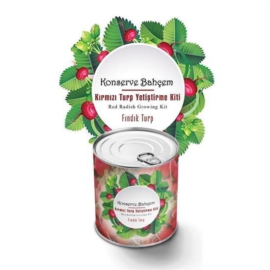 KanguruMarkt® Konserve Bahçem Evde Konservede Fındık Turp Yetiştirme Kiti