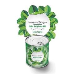KanguruMarkt® Konserve Bahçem Evde Konservede İri Yapraklı Roka Yetiştirme Kiti