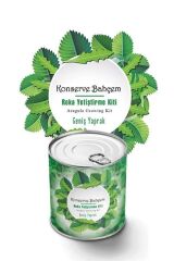 Evde Konservede İri Yapraklı Roka Yetiştirme Kiti