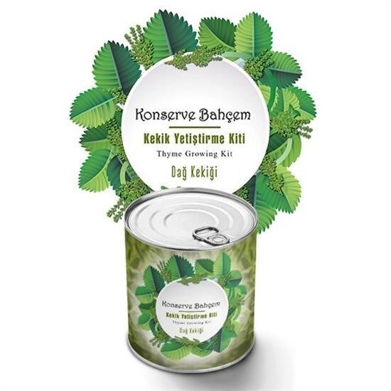 KanguruMarkt® Konserve Bahçem Evde Konservede Kekik Dağ Kekiği Yetiştirme Kiti