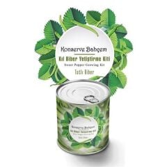 Evde Konservede Tatlı Sivri Biber Yetiştirme Kiti