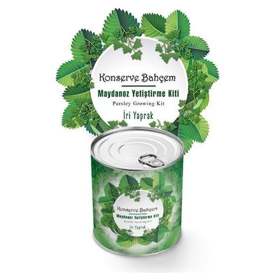 KanguruMarkt® Konserve Bahçem Evde Konservede İri Maydanoz Yetiştirme Kiti
