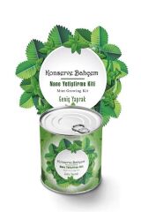 KanguruMarkt® Konserve Bahçem Nane Yetiştirme Kiti