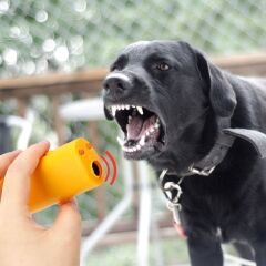 Ultrasonik Köpek Kornası Eğitim Cihazı