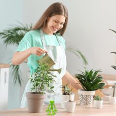 Kurbağa Şeklinde Bitki Sabitleyici