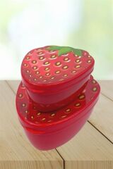 KanguruMarkt® 2'li İç İçe Geçebilen Çilek Model Saklama ve Beslenme Kabı Seti (550 ml + 250 ml)